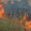 Υπό μερικό έλεγχο η πυρκαγιά στην Εύβοια