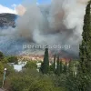 fotia