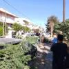rodos