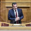 Θάνος Πλεύρης