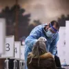 Διαγνωστικός έλεγχος κορoνοϊού