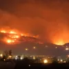 fotia tinos