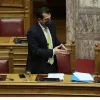 Θάνος Πλεύρης
