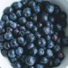 superfood, υπερτροφές
