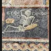 Mosaiko-skeletos