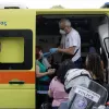 fotia epimelitirio thessaloniki
