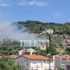 fotia magoula