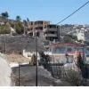 fotia-penteli