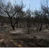 fotia-lesvos