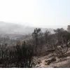 fotia-lesvos