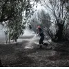 fotia pyrkagia