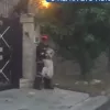 fotia_penteli