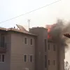 fotia-penteli