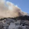 salamina