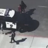 epithesi ipa police