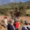 ράλλυ ακρόπολις ελιά