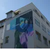 Κρατικό νοσοκομείο Νίκαιας