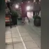 Κακοποίηση σκύλου στα Ιωάννινα
