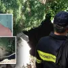 αστυνομικός