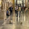 αγάλματα Βατικανό τουρίστας