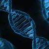 DNA STRUCTURE