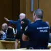 Πλεύρης ναζιστικός χαιρετισμός