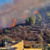 Φωτιά στην Αίγινα