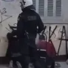 elas