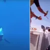 δύτης