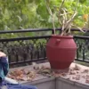 μικρός παναγιώτης