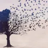 ΞΕΝΙΤΙΑ