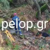 εξαφάνιση