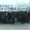 Μιχάλης Καλτεζάς