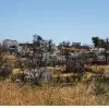 Μάτι