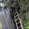 δέντρο