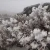Χιόνια