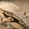 δεινόσαυρος