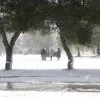 κακοκαιρία