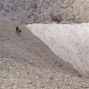 λευκά όρη