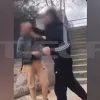 ξυλοδαρμός μαθητή