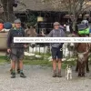 γαϊδουράκι 