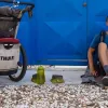 Σκύλος και ταξίδια