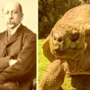xelona_trikoupis