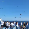 πλοίο