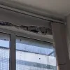  σεισμός στην Κέρκυρα