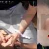 ξυλοδαρμος