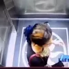 νεκρή αεροδρόμιο