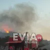 φωτια
