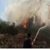 πυρκαγιά
