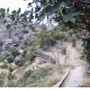 Άνδρος
